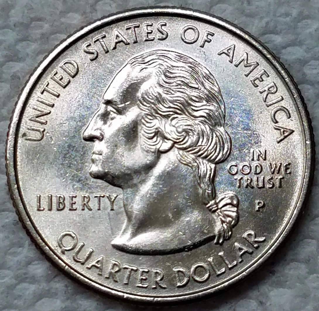 1999-P-Washington-Connecticut-Trail-Dies-At-Tree-Branch-Ends-On-Reverse?